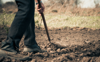 Coût des différents modes de productions agricoles pour les citoyens