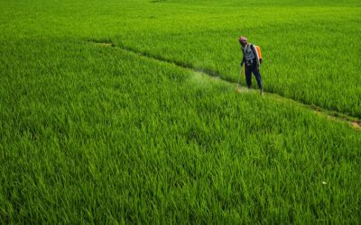 Bras de fer autour du report de deux ans du registre électronique des pesticides