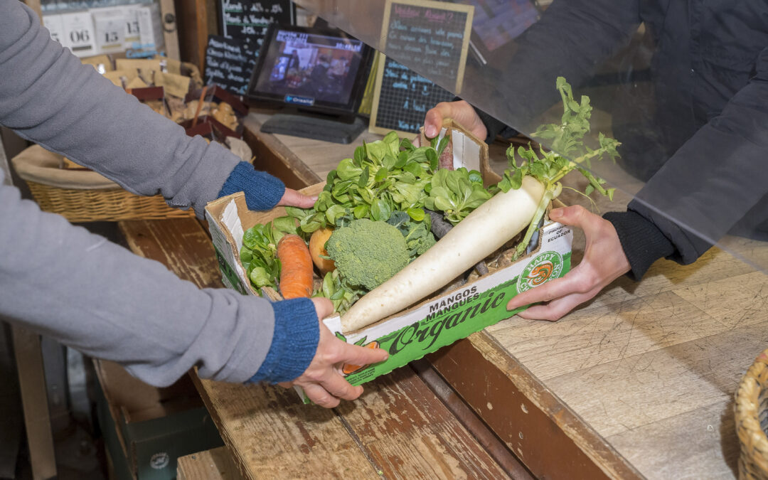 Sortie  des pesticides : des solutions existent. Ce qui manque, c’est la volonté politique et le soutien aux agriculteurs